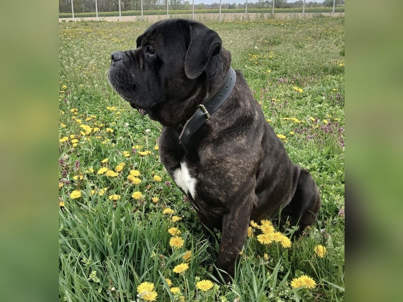 Aron ein sehr kräftiger Bub