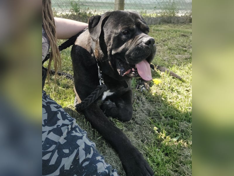 Aron ein sehr kräftiger Bub