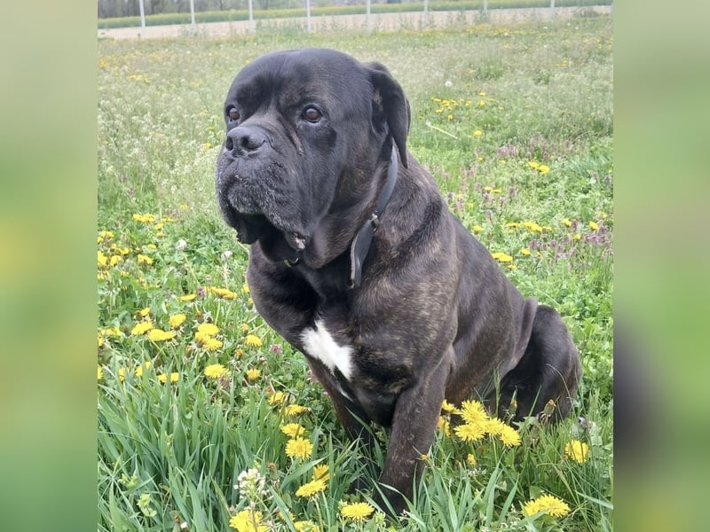 Aron ein sehr kräftiger Bub
