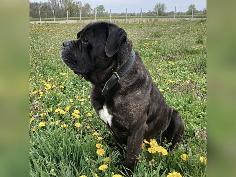 Aron ein sehr kräftiger Bub