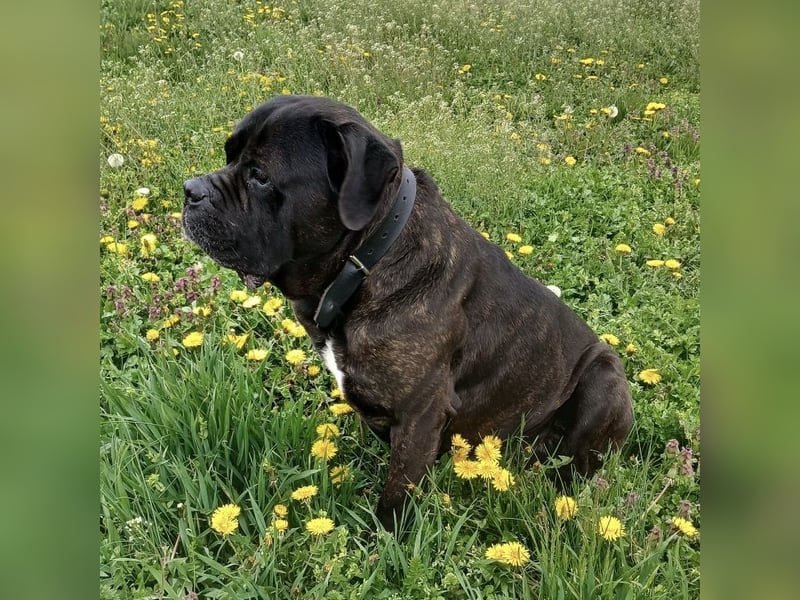 Aron ein sehr kräftiger Bub
