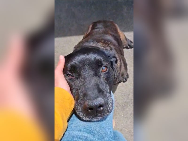 Vinc sucht Pflege- oder Endstelle