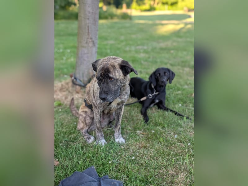 Schmusebacke sucht Endstelle