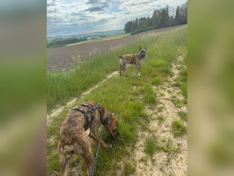 Familie gesucht