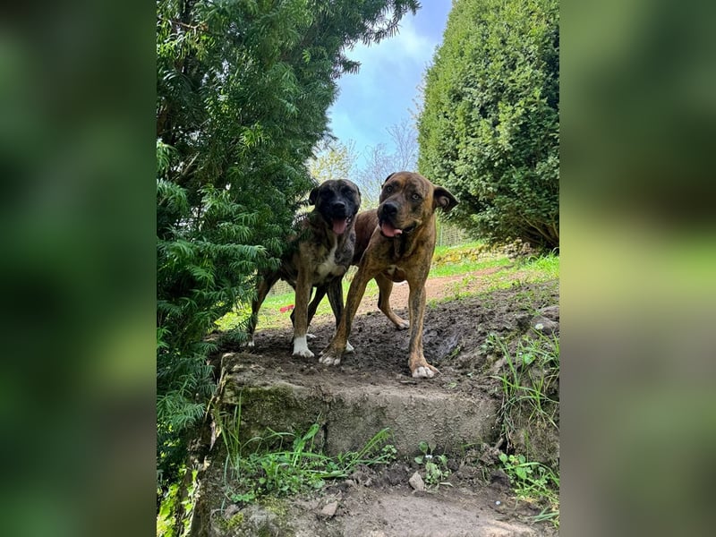 Familie gesucht