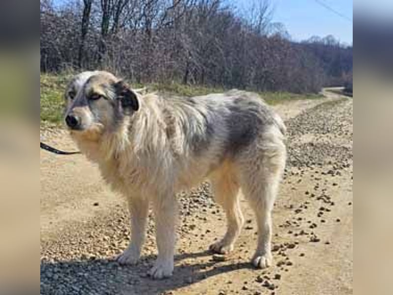 Freya 54cm geb. 08*2022