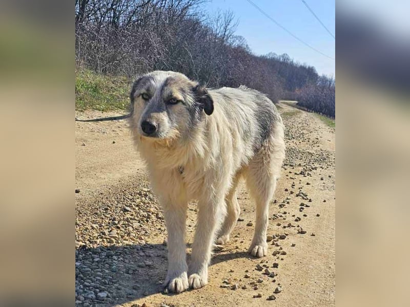 Freya 54cm geb. 08*2022