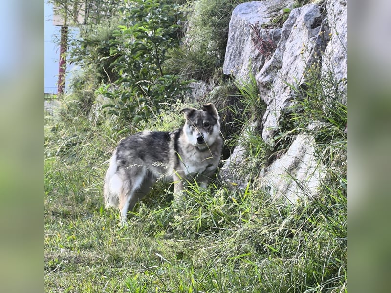 Coole Socke möchte im neuen Jahr mit dir auf Tour gehen!