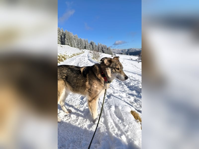 Coole Socke möchte im neuen Jahr mit dir auf Tour gehen!