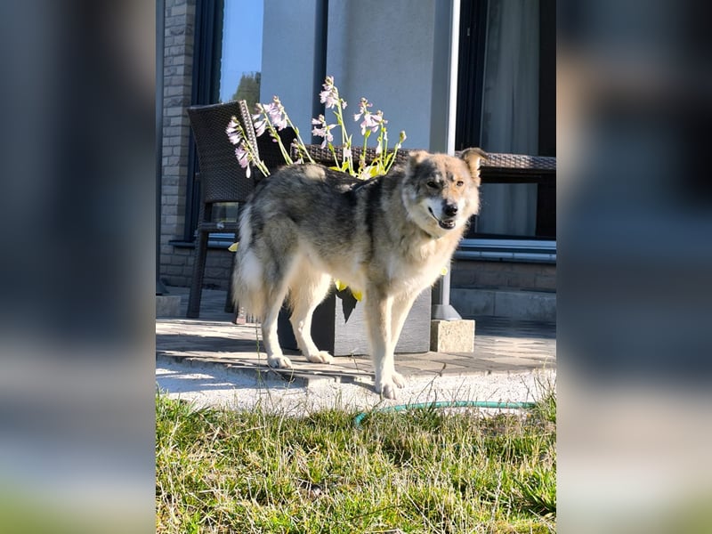 Coole Socke möchte im neuen Jahr mit dir auf Tour gehen!