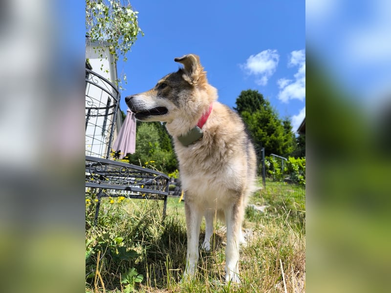 Coole Socke möchte im neuen Jahr mit dir auf Tour gehen!