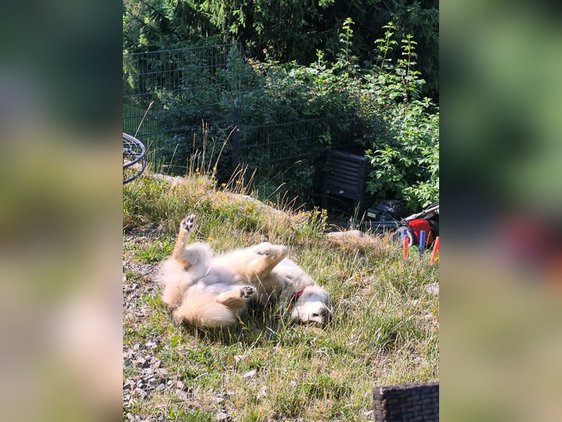 Coole Socke möchte im neuen Jahr mit dir auf Tour gehen!