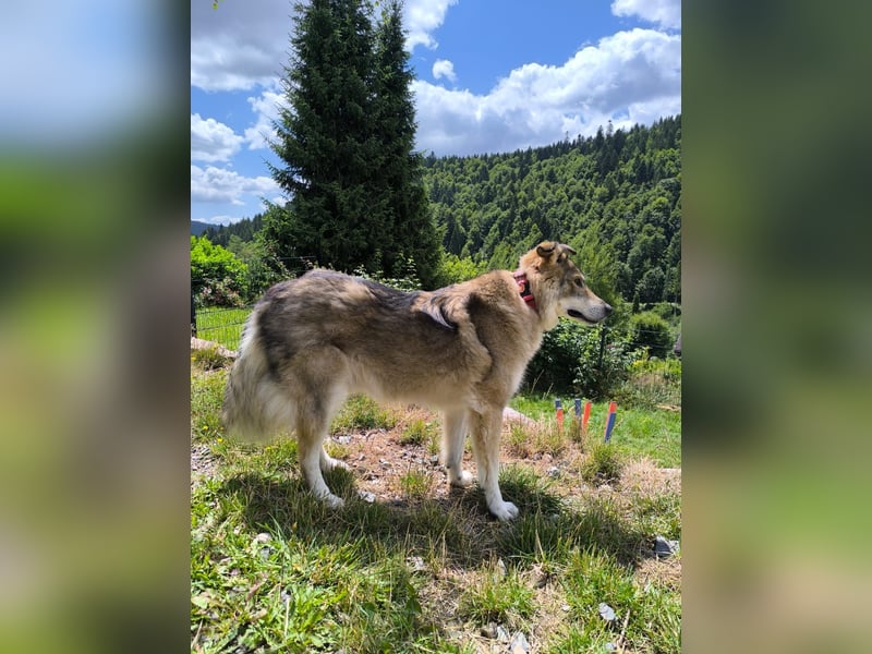 Coole Socke möchte im neuen Jahr mit dir auf Tour gehen!