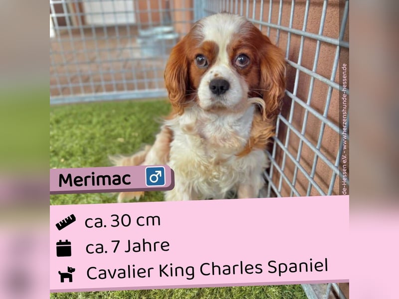 Merimac