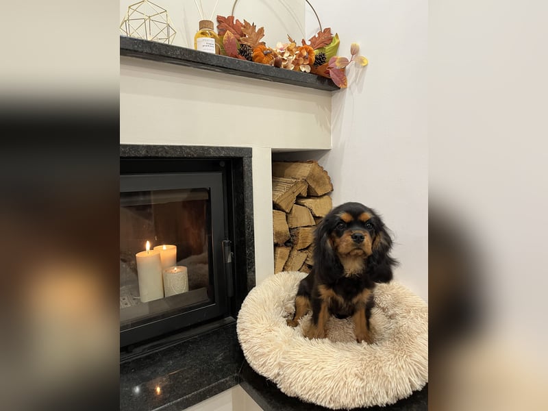 Gwendolin-Regin Roswell Cav