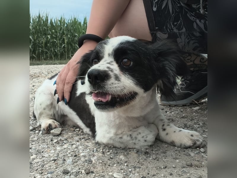 Tikki ein kleiner Sonnenschein