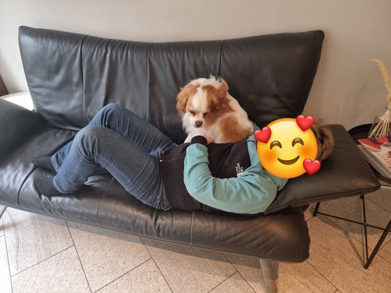 Leon verliert sein Zuhause