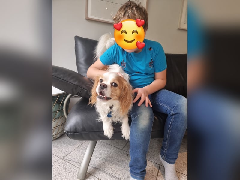Leon verliert sein Zuhause