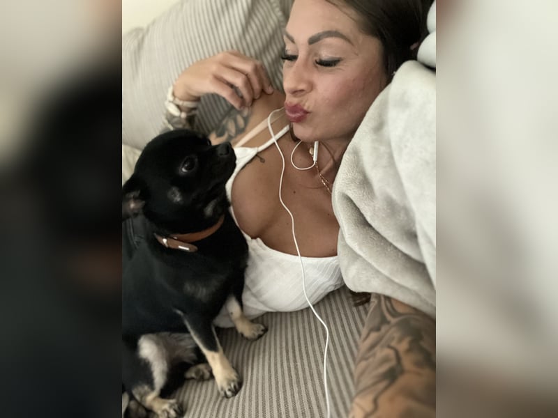 Charmanter Chihuahua-Deckrüde sucht Damenbekanntschaften ✨