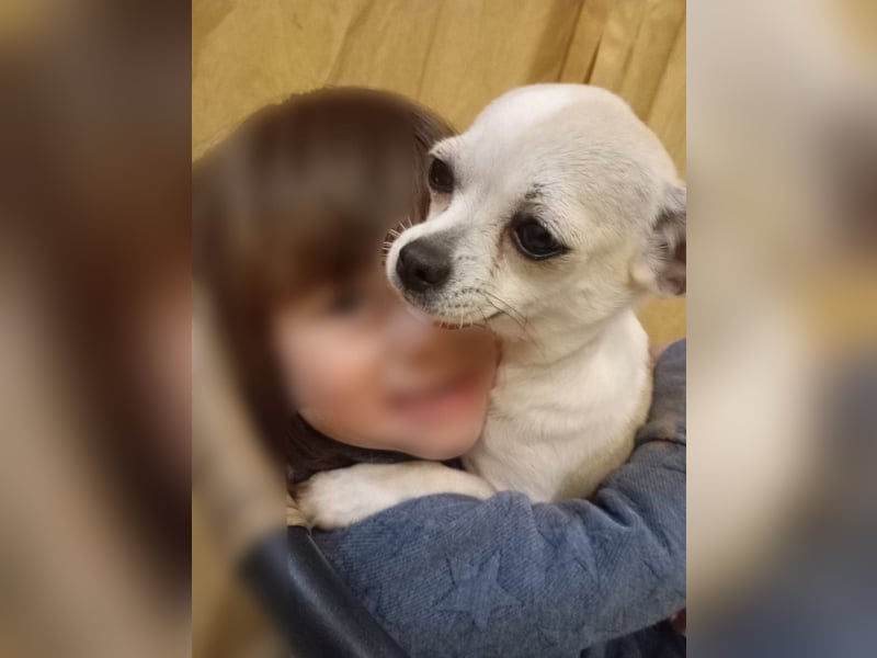 ❤️Bart + Mara...dürfen sie zusammen bleiben?