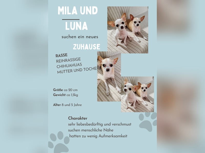 Süßes Mutter Tochter Duo sucht liebevollen Platz