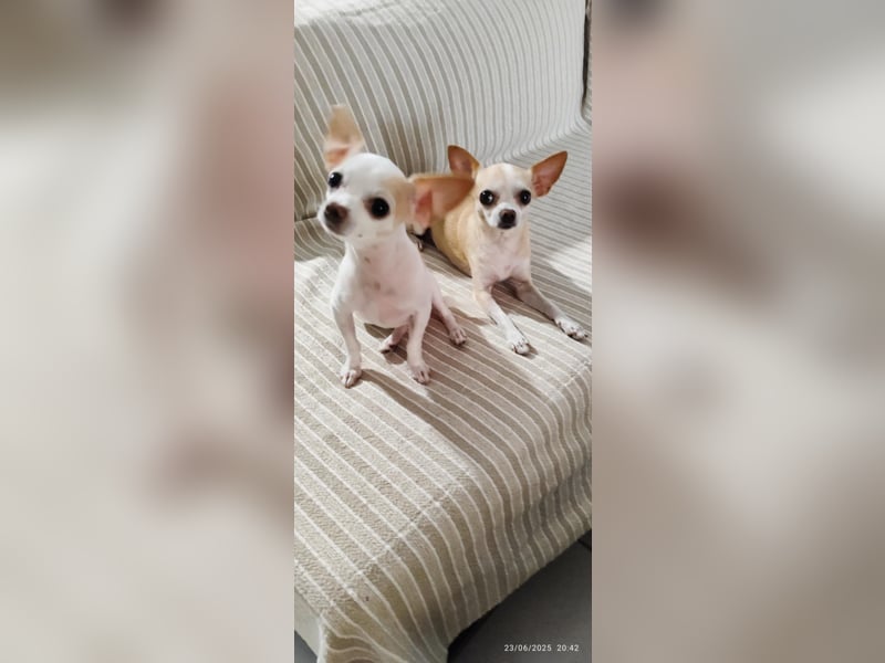 Süßes Mutter Tochter Duo sucht liebevollen Platz
