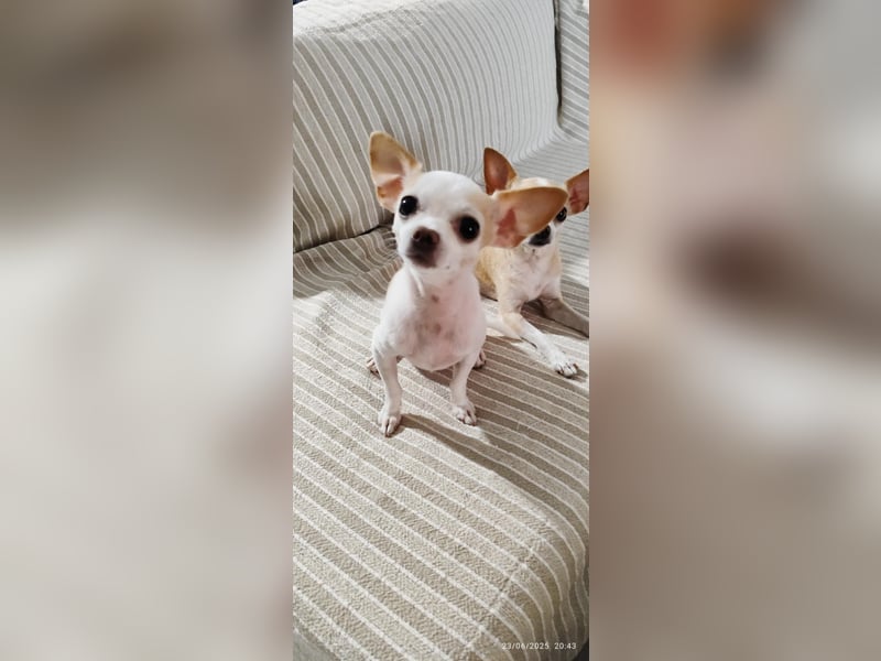 Süßes Mutter Tochter Duo sucht liebevollen Platz