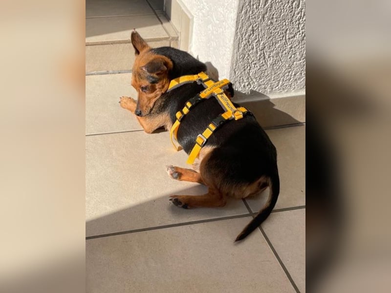 Roger: einfach nur Klasse!