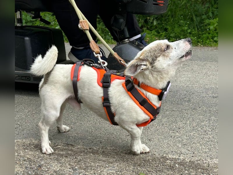 Jaron - Der 6,5kg Rohdiamant sucht sein Glück