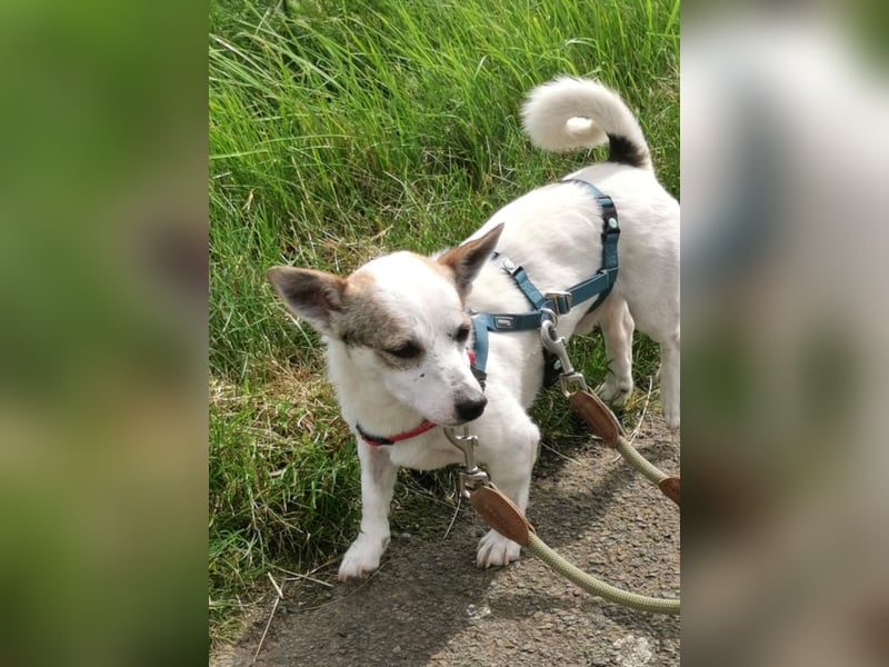 Jaron - Der 6,5kg Rohdiamant sucht sein Glück