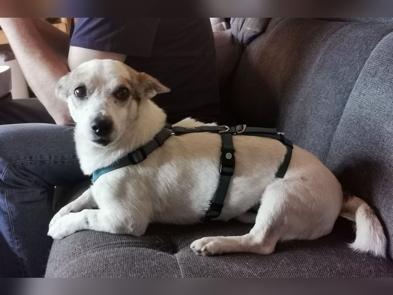 Jaron - Der 6,5kg Rohdiamant sucht sein Glück