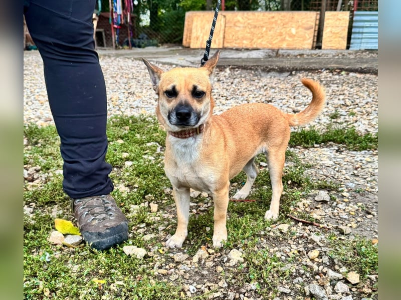 Sonya – kleine Entdeckerin mit sanftem Wesen