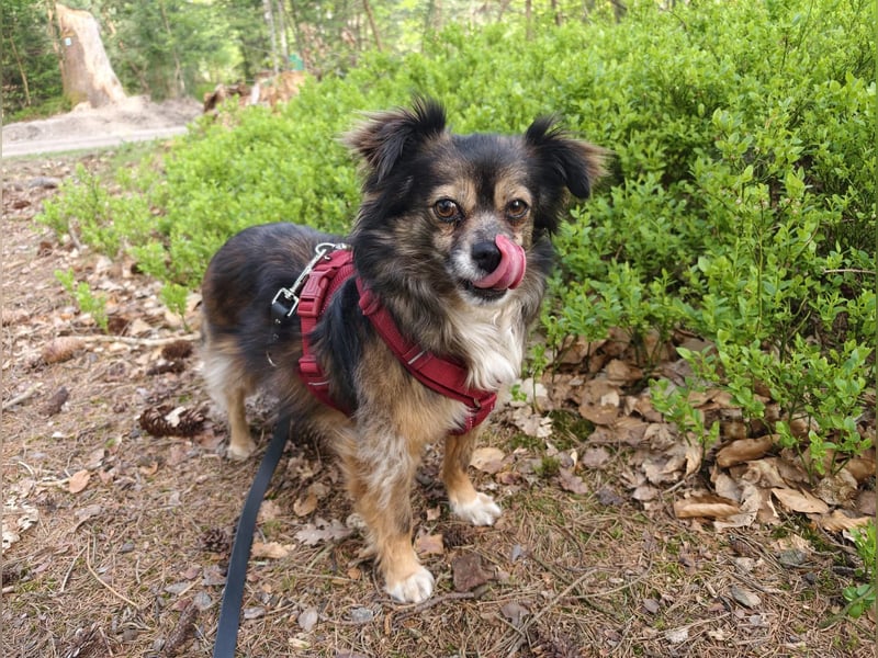 Pia