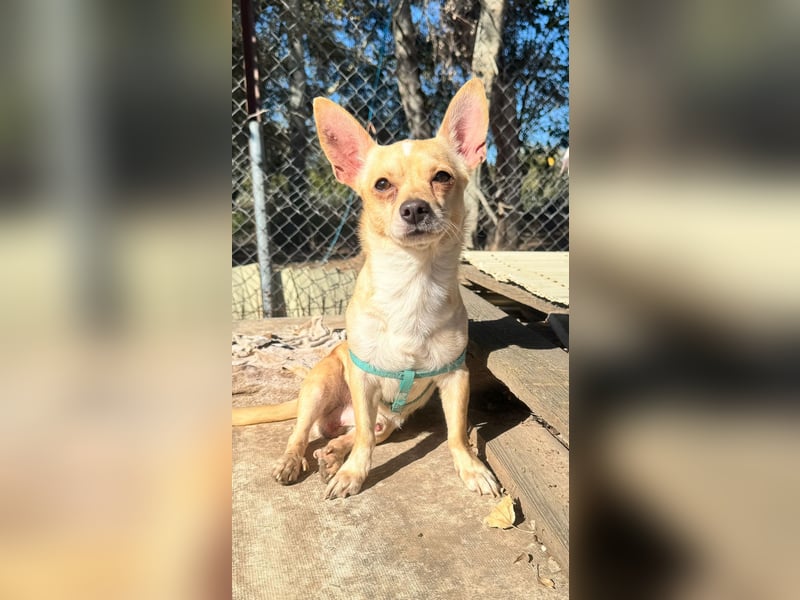 Wifi - verspielt, offen und ruhebedürftig