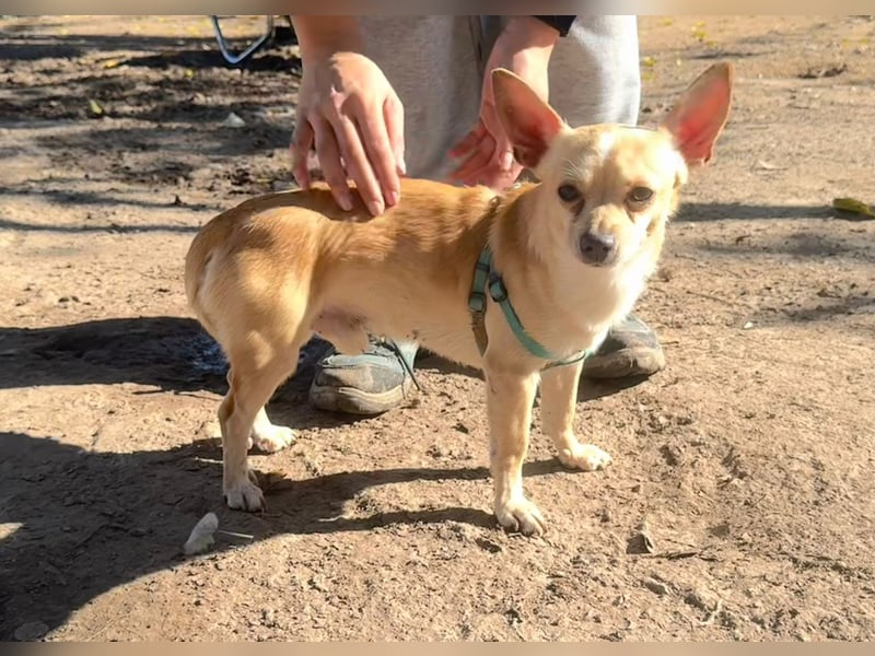 Wifi - verspielt, offen und ruhebedürftig