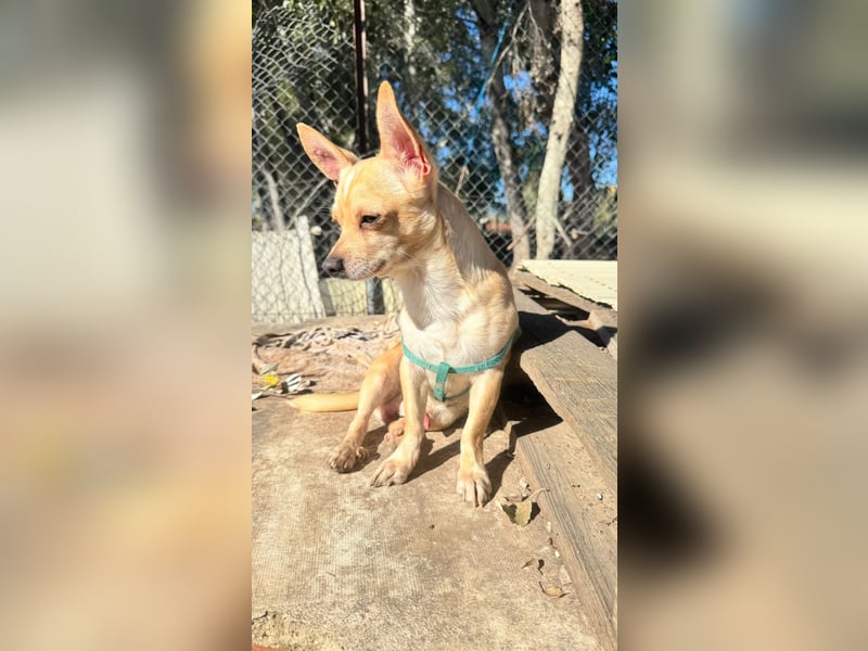 Wifi - verspielt, offen und ruhebedürftig