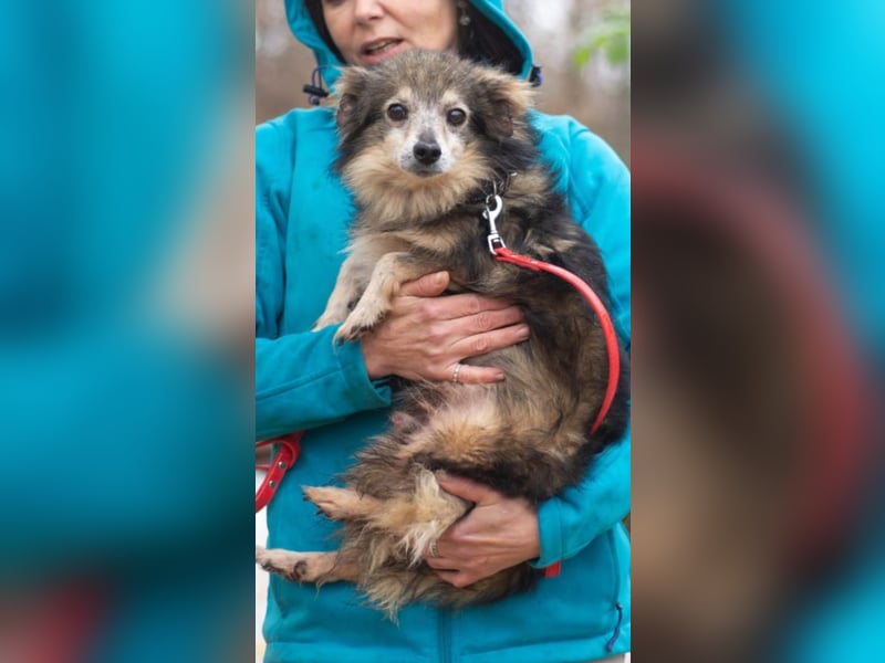 BIM Kleiner Kerl mit Kämpferherz BIM Kleiner Kerl mit Kämpferherz