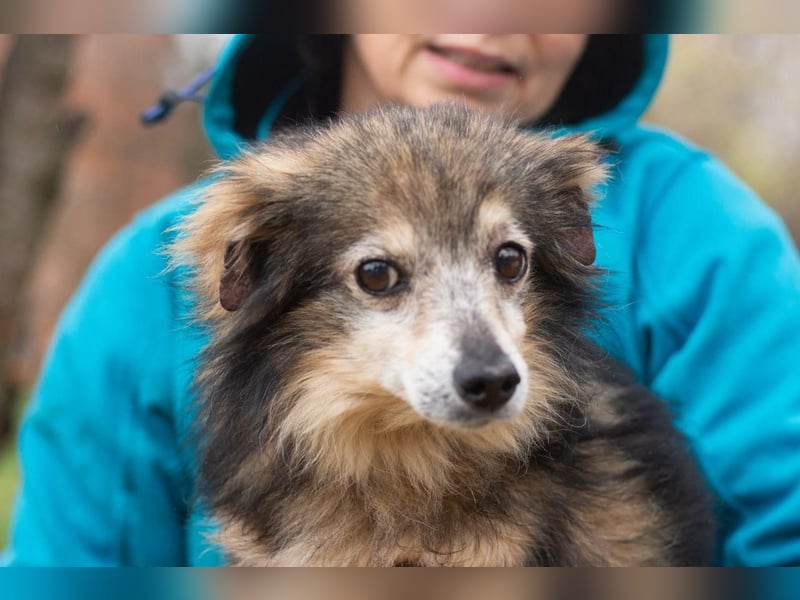 BIM Kleiner Kerl mit Kämpferherz BIM Kleiner Kerl mit Kämpferherz