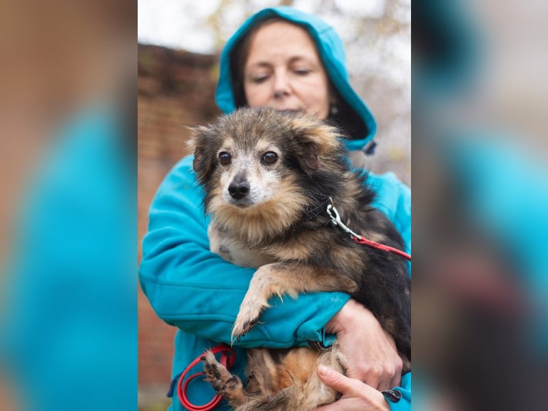 BIM Kleiner Kerl mit Kämpferherz BIM Kleiner Kerl mit Kämpferherz