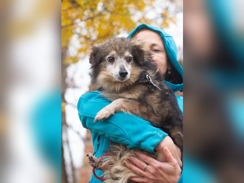 BIM Kleiner Kerl mit Kämpferherz BIM Kleiner Kerl mit Kämpferherz