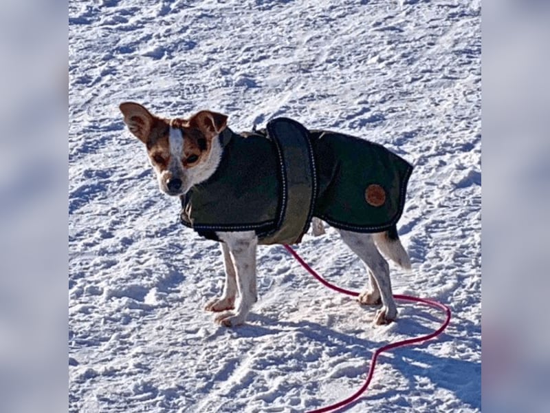 Panja - Sie schaut nach vorn