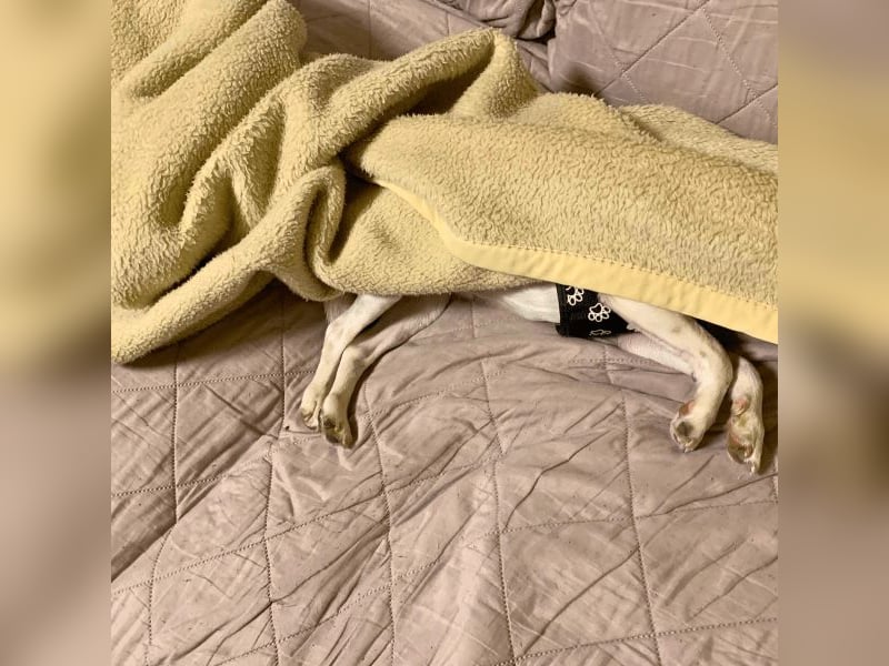 Panja - Sie schaut nach vorn