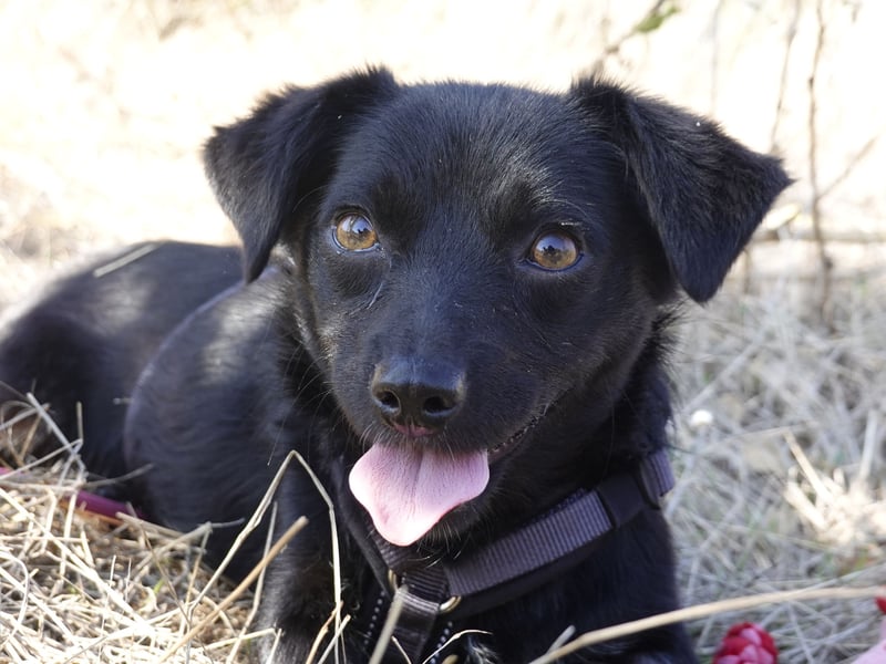 Kleine Nisha sucht ihre Menschen