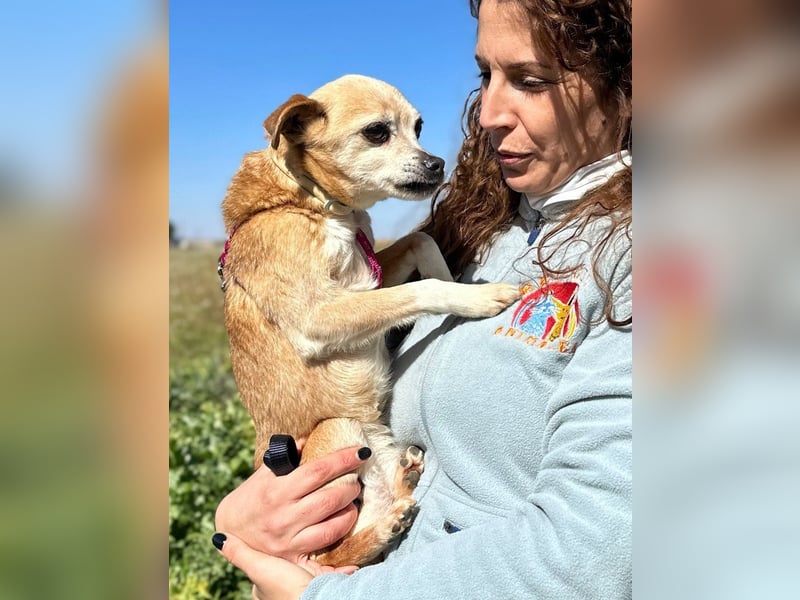 Yaya *Gnadenplatz gesucht*