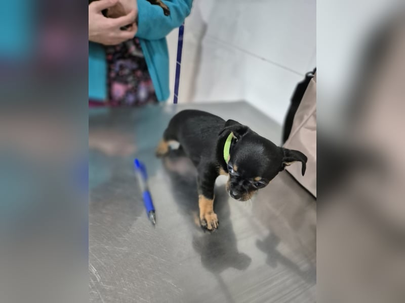 Flora, eine kleine Prinzessin