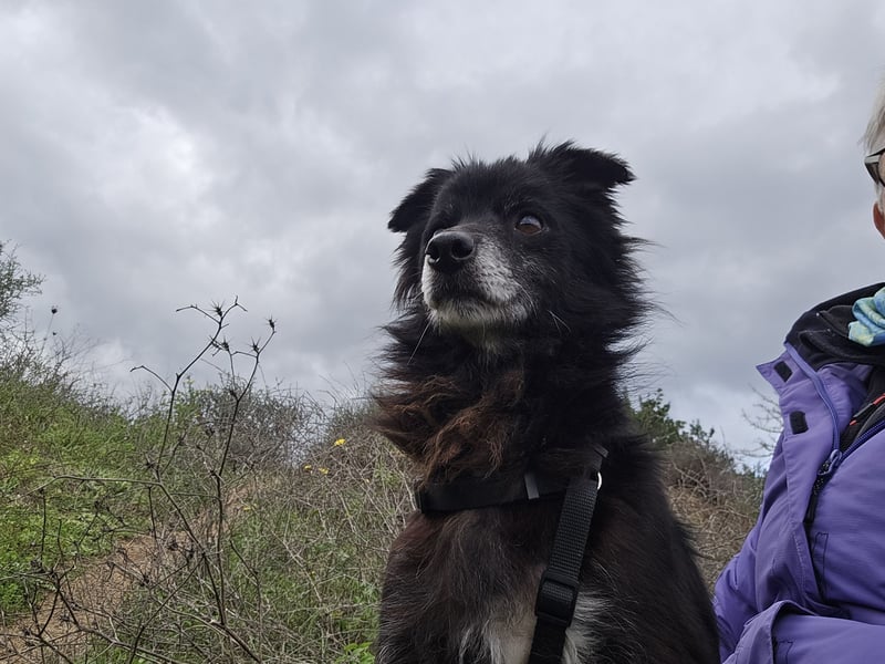 Mimmo: kleiner Zwerg sucht Kuschelplatz
