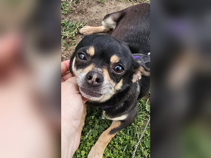 Insa benötigt Zeit um Bindung aufzubauen