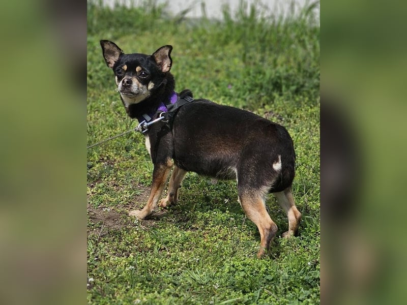 Insa benötigt Zeit um Bindung aufzubauen