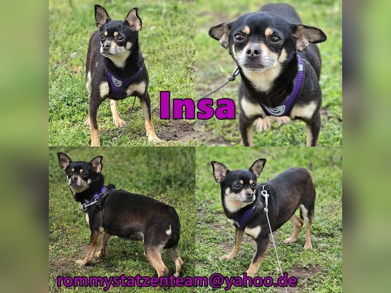 Insa benötigt Zeit um Bindung aufzubauen