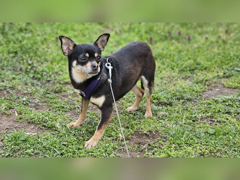 Insa benötigt Zeit um Bindung aufzubauen